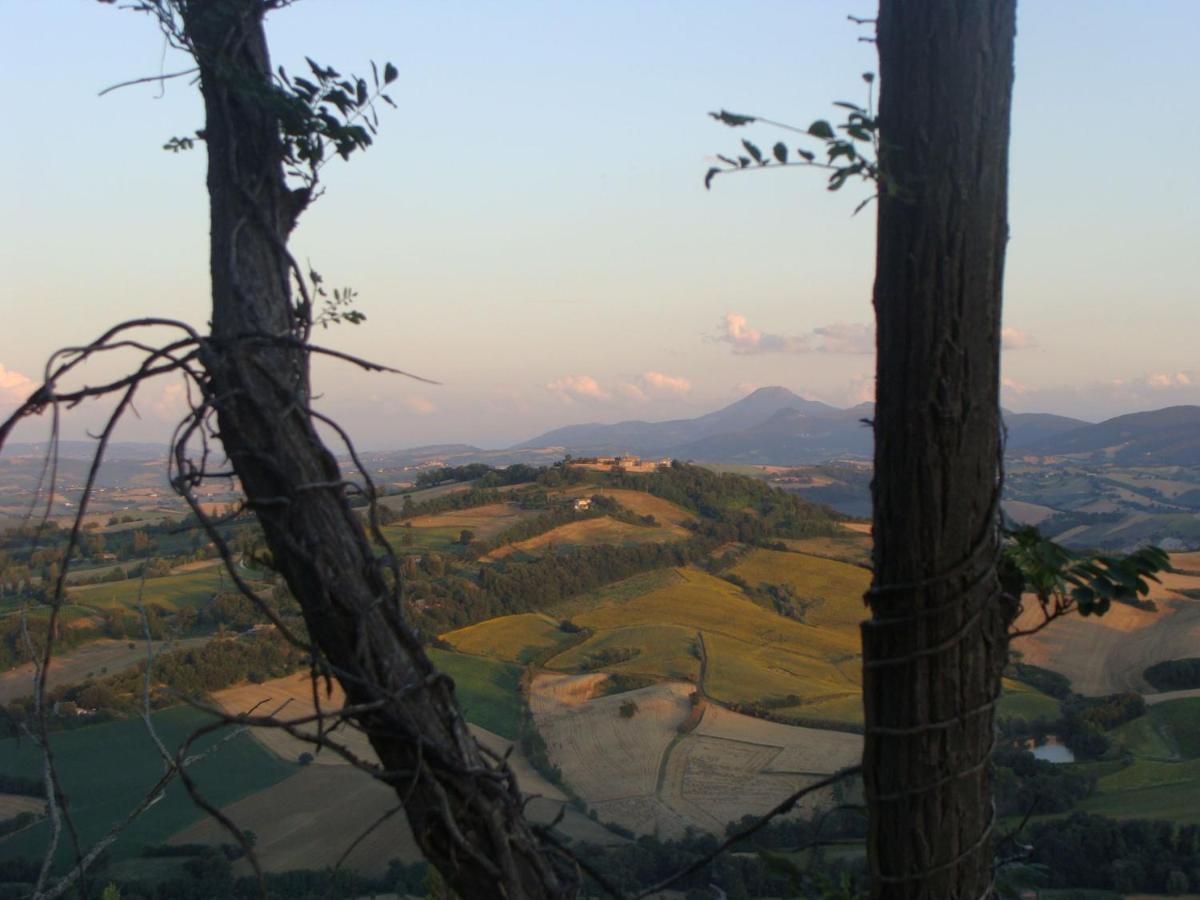 B&B Casa Cuccagna Fratte Rosa Luaran gambar